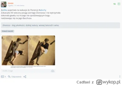 Cadfael - co robi #p0lak jak się mu wykaże głupotę i urojenia na temat polek? czarnol...