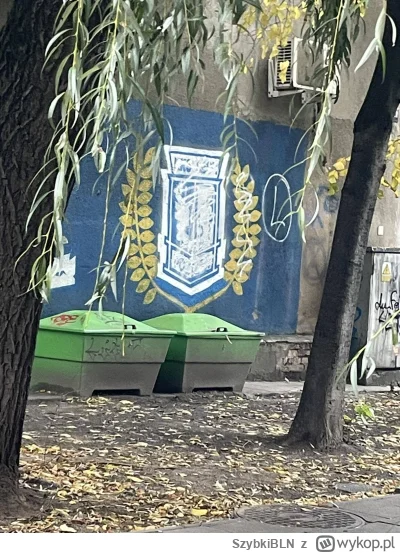 SzybkiBLN - #lechpoznan  #patoszczecin #mirkohooligans #mecz