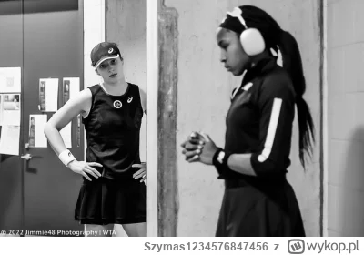 Szymas1234576847456 - Drapieżnik i ofiara w naturalnym środowisku 
#tenis