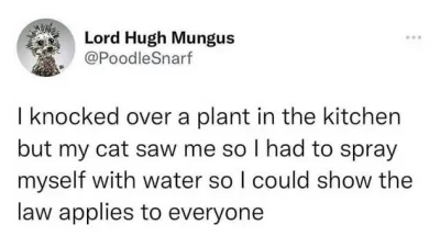 Patrykzlasu - #heheszki #humorobrazkowy #koty