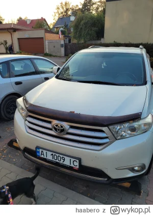 haabero - Czy ktoś mi może powiedzieć po co montuje się taki element na masce? To jak...