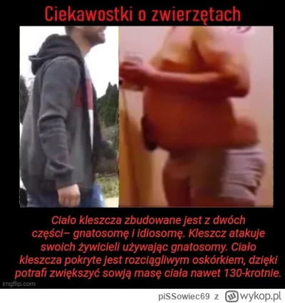 piSSowiec69 - CEO

Centaur Ewentualnie Oblech 
#kononowicz