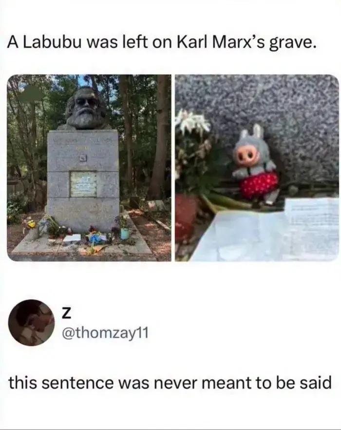 djtartini1 - #kapitalizm #labubu #humorobrazkowy #heheszki