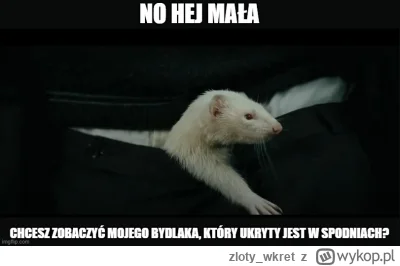 zloty_wkret - #harrypotter