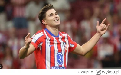 Cosipi - Można już oficjalnie mówić że ten Argentyński kot to zdecydowanie lepszy tra...