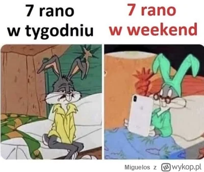 Miguelos - #heheszki #pracbaza #praca #weekend #humorobrazkowy