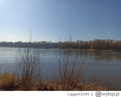 Cygan12345 - Wstałem z rana, pojechałem rowerem na siłkę, wracając zajechałem jeszcze...