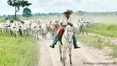 niemo - #rolnictwo idą