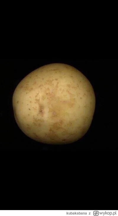 kubakabana - #film #heheszki #ksiazki 

Diuna, pustynna planeta ( ͡° ͜ʖ ͡°)