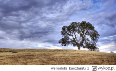 wersalski_kasztaniQ - Smutną masz dzisiaj twarz
Twoje oczy łzawią mocno tak
Brak Ci s...