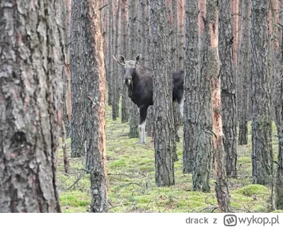 drack - 605 060 + 8 + 20 + 52 + 21 + 57 = 605 218

No dobra, najwyższy czas dołączyć ...