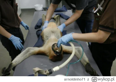 arnoldinho71 - @card_man: Pani Sylwia Berg teraz: