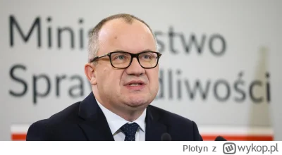 Plotyn - Przecież o ważności wyborów orzekała Izba Kontroli Nadzwyczajnej Sądu Najwyż...