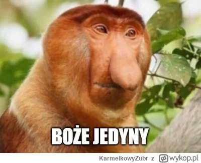 KarmelkowyZubr - @wshk: Ta flaga