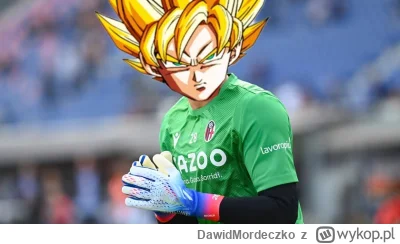 DawidMordeczko - #mecz #sport #polska #memy #golgif