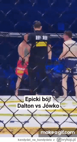 kandydatnakandydata - Najlepszy cios, to był ten wzmocniony podskokiem! @marek-jowko ...