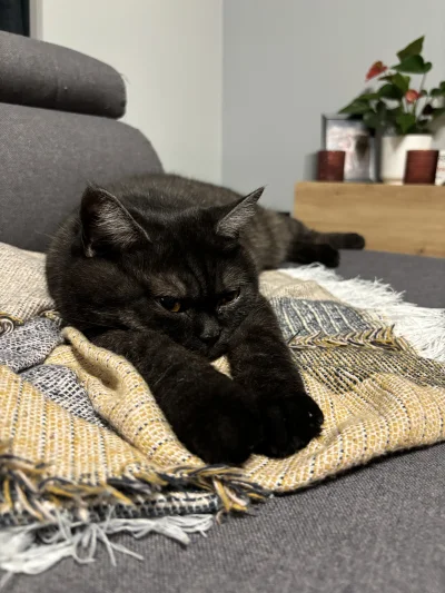 krassqq - Wieczorny relaks 

#pokazkota