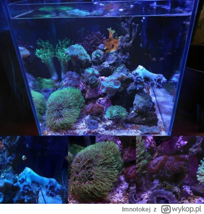 I.....j - Dzień dobry Państwu tu Paweł z ﻿#morskibaweu﻿ 

Chwilę temu wleciała podmia...