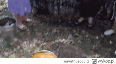 savathus666 - #wykopobrazapapieza #2137 #heheszki #cenzopapa #papiezaobrazajo