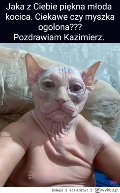 kolegazsasiedztwa - #heheszki #humorobrazkowy #spermiarzalert #smiesznypiesek #z-----...