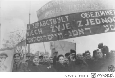 cycaty-fejm - @cycaty-fejm: