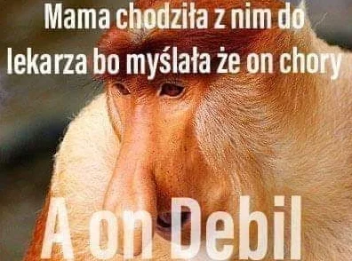 JednaRenkaJedenKaleka - #konkursnanajbardziejgownianymemznosaczem