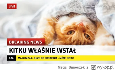 Mega_Smieszek