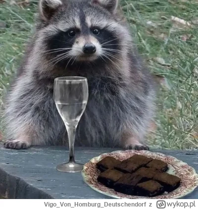 VigoVonHomburgDeutschendorf - Le szopę_
#szopeknadzis