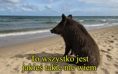 ntdc - #humorobrazkowy