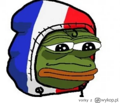 vorky - Dzisiaj w każdym francuskim domu ( ͡° ʖ̯ ͡°)

#mecz