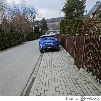 E.....i - Jeśli tak ktoś parkuje to kim jest? #prawodrogowe