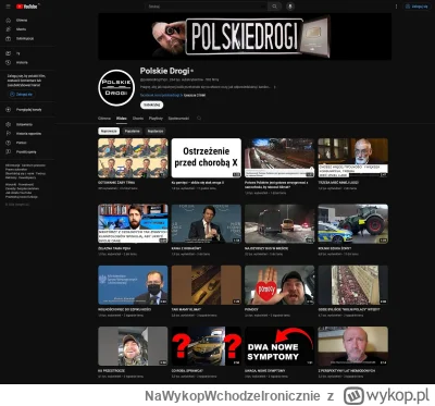 NaWykopWchodzeIronicznie - Kojarzycie kanał "Polskie Drogi" na Youtube? Gość wrzucał ...