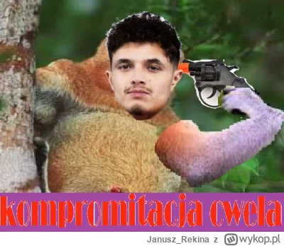 Janusz_Rekina - #f1 ( ͡°( ͡° ͜ʖ( ͡° ͜ʖ ͡°)ʖ ͡°) ͡°)