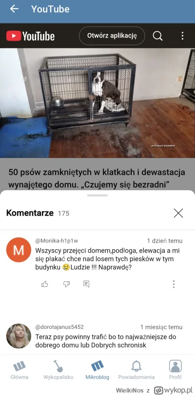 WielkiNos - Psiarze wynajęli nowy dom. Trzymali w nim 50 psów w klatkach doszczętnie ...