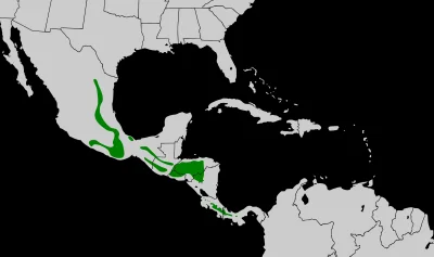 Lifelike - Zasięg występowania: