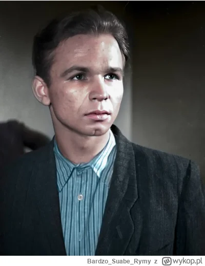 BardzoSuabeRymy - #seriale #kiepscy

Panie Ferdku, odnalazlem fontannę młodości