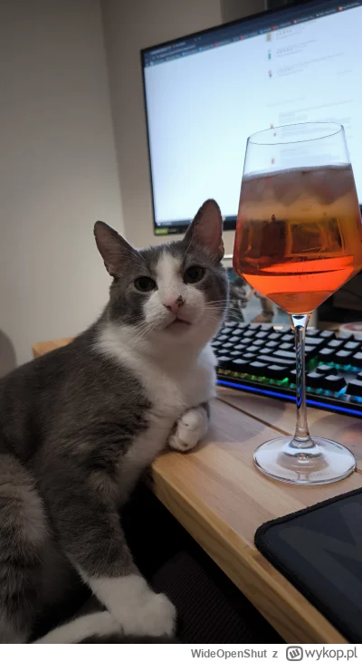 WideOpenShut - Jak weekend to i Aperolek się należy ( ͡º ͜ʖ͡º)
#smiesznekotki #pokazk...