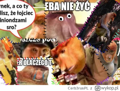 Cerb3rusPL - #konkursnanajbardziejgownianymemznosaczem 

Pjoterku, nie wyrzucaj tych ...
