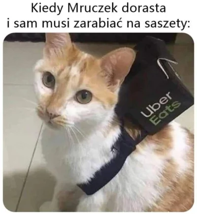 starerursko - #heheszki