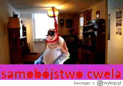 Derringer - #wislakrakow #mecz