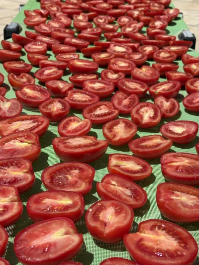 asdfghjkl - I tak się powoli żyje na tej wsi ( ͡º ͜ʖ͡º) #pomidory #suszeniepomidorow ...