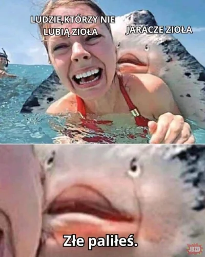 wfyokyga - Musisz spróbować innego bo ruzne som