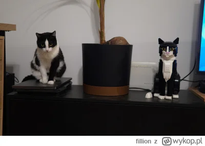 fillion - @CZESARZ_INTERNETU pozdrawiamy