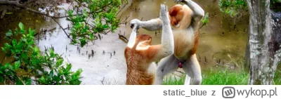 static_blue - Elegancko (｡◕‿‿◕｡)