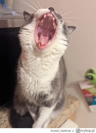 leonid_bialkow - AAAAAAAAAAAAAAAAAAAAAAAAAAAAAAAAAAAAAAAAAAAA