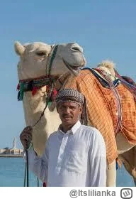 Itslilianka - James Bond mówi do wielbłąda:
- Jestem Bond, James Bond.
Wielbłąd na to...