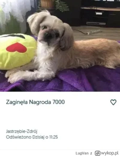 LugVan - Nowy gracz na horyzoncie
#fredikamionka