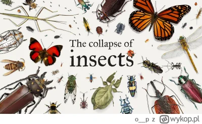 o__p - @wfyokyga luadny . Pamiętam kiedyś brubli było więcej. Owadów też było wiecwj