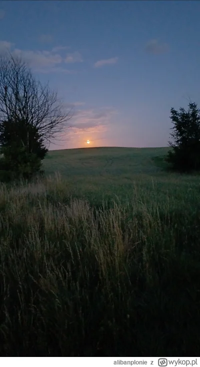 alibanplonie - #przegryw