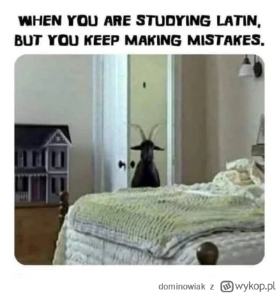 dominowiak - #heheszki #jezykiobce #lacina